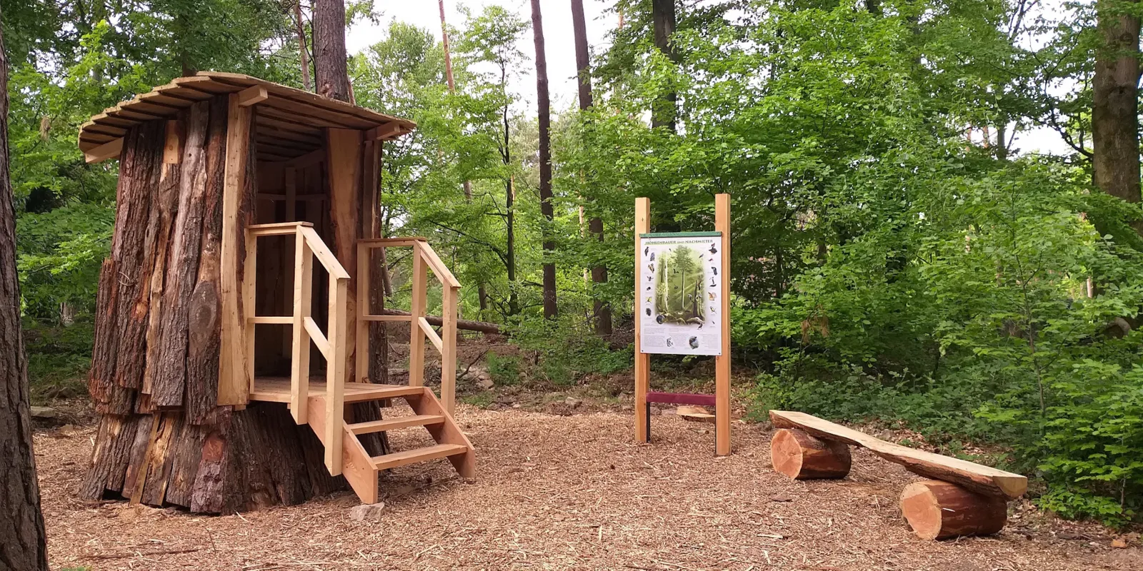 Ausstellungsobjekte aus Holz auf dem Walderlebnispfad Rehburg-Loccum